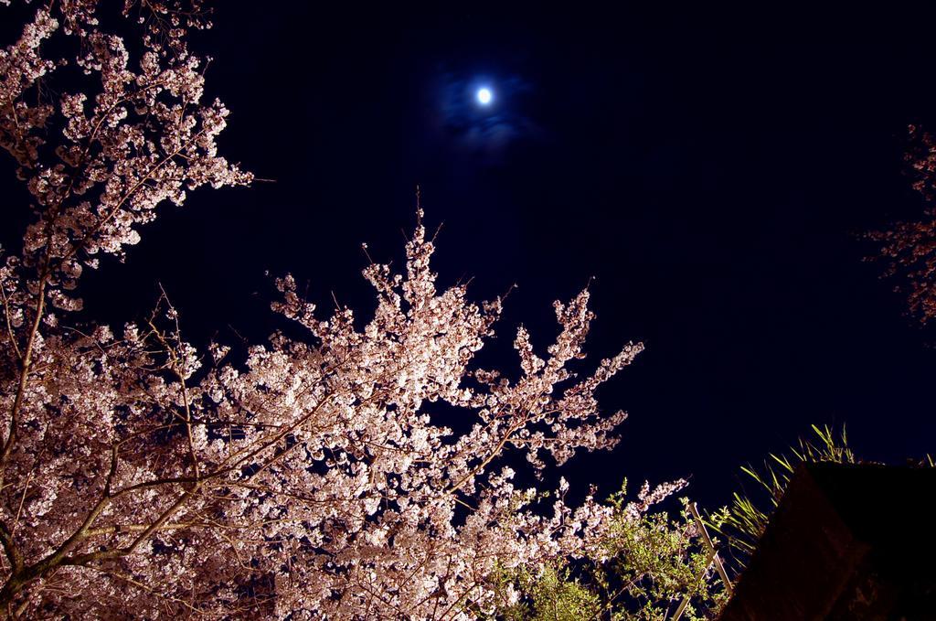 Hoeiso Hotel Hakone Exterior foto